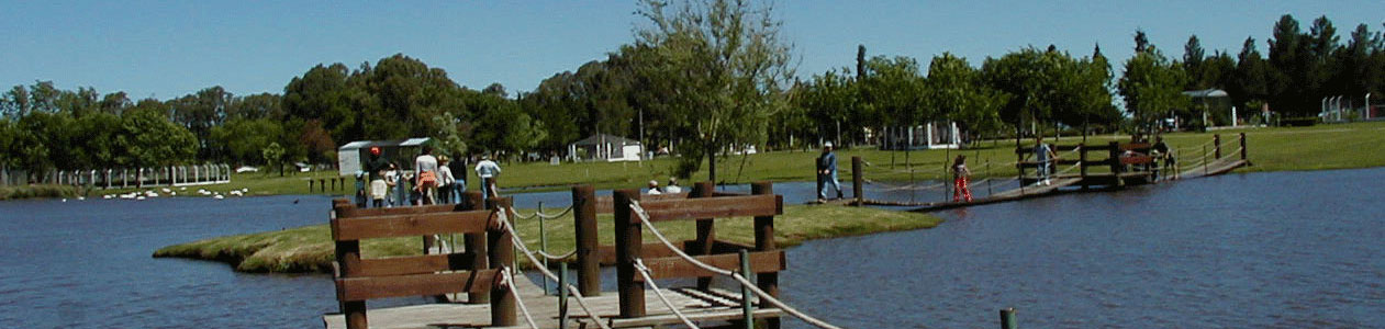Flores Uruguay